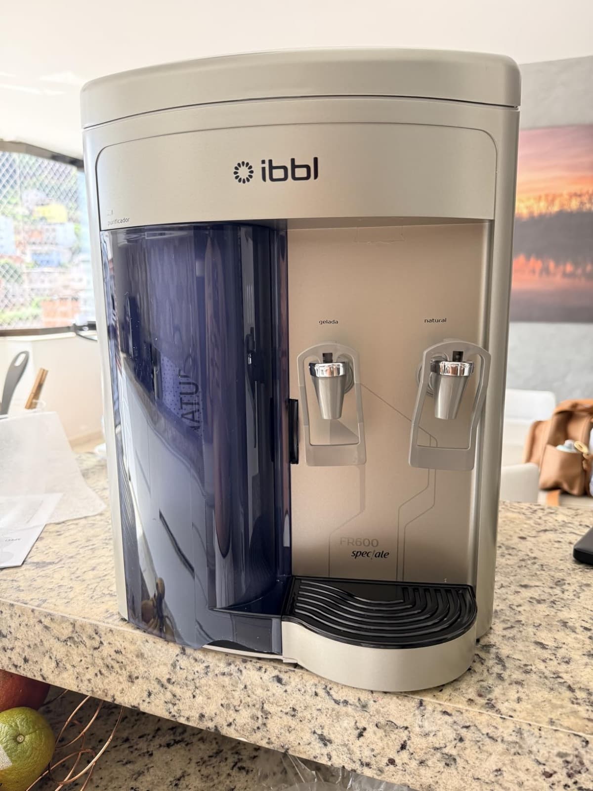 Purificador De Água IBBL Fr600 Speciale Prata - 220V